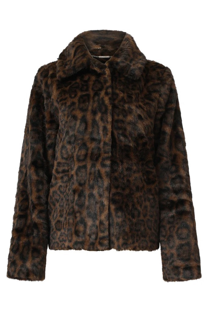 Short Animal Print Jacket in Brown / Black