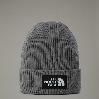 Box Cuffed Logo Beanie in TNF Medium Grey