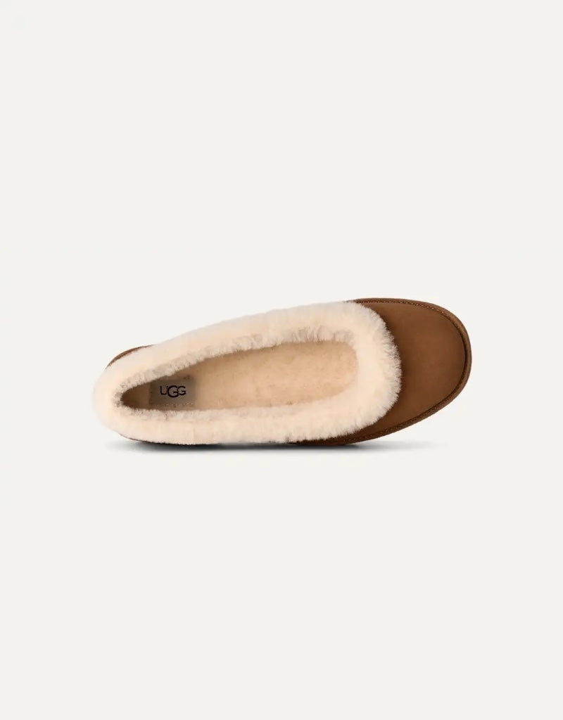 UGG Zora Ballet Flat in Chestnut | Shop AP Jones Online Now