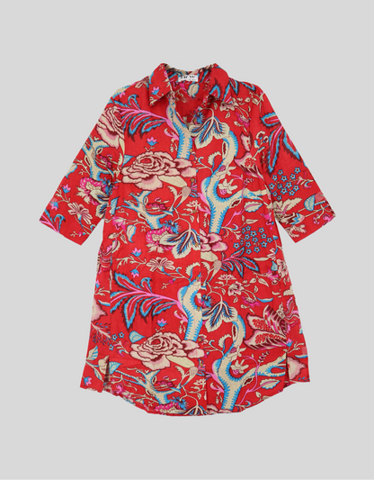 Shirt Dress in Red & Blue