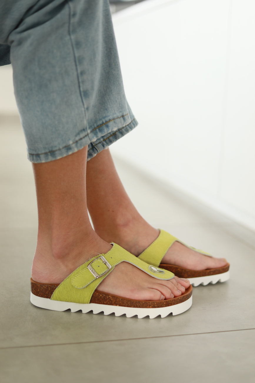 Julz Jason Sandal in Chartreuse | Shop AP Jones Online Now